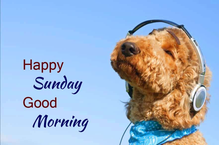 Sunday Blessings Images HD