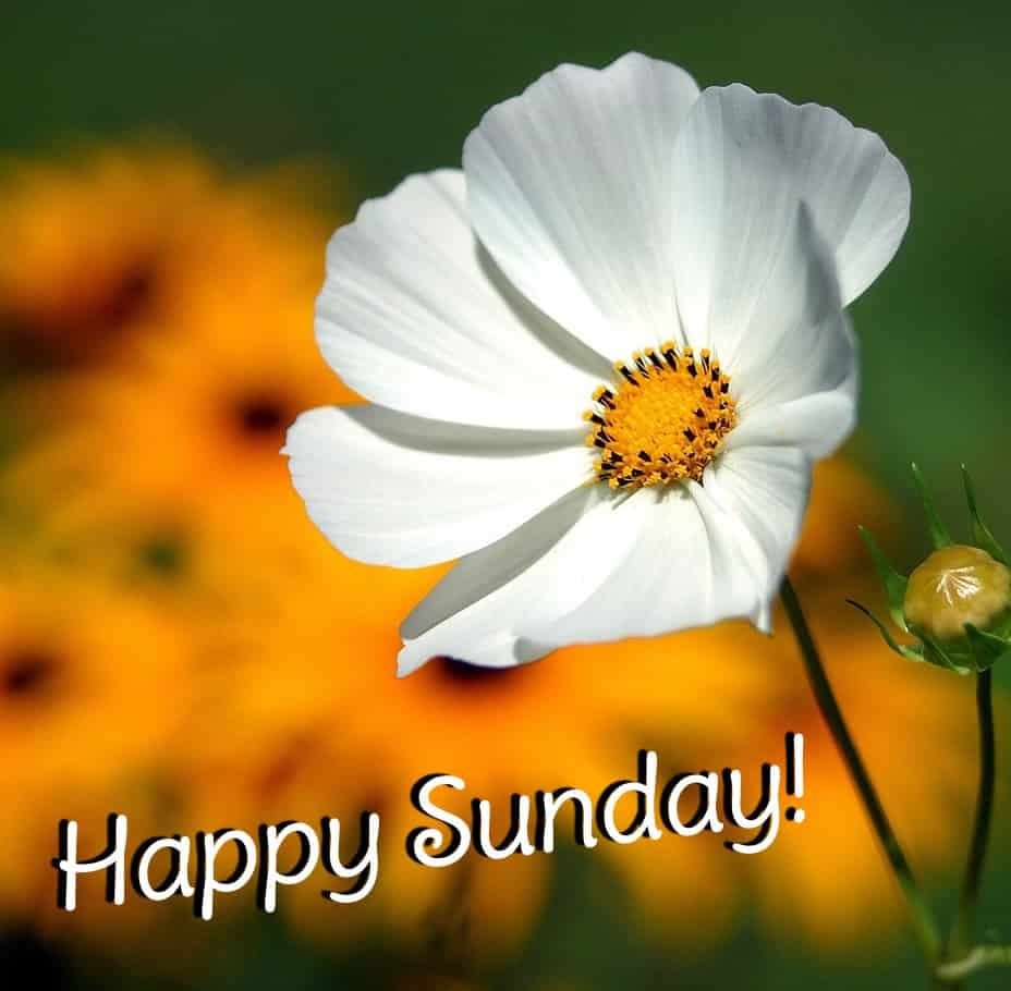 Sunday Blessings Pictures
