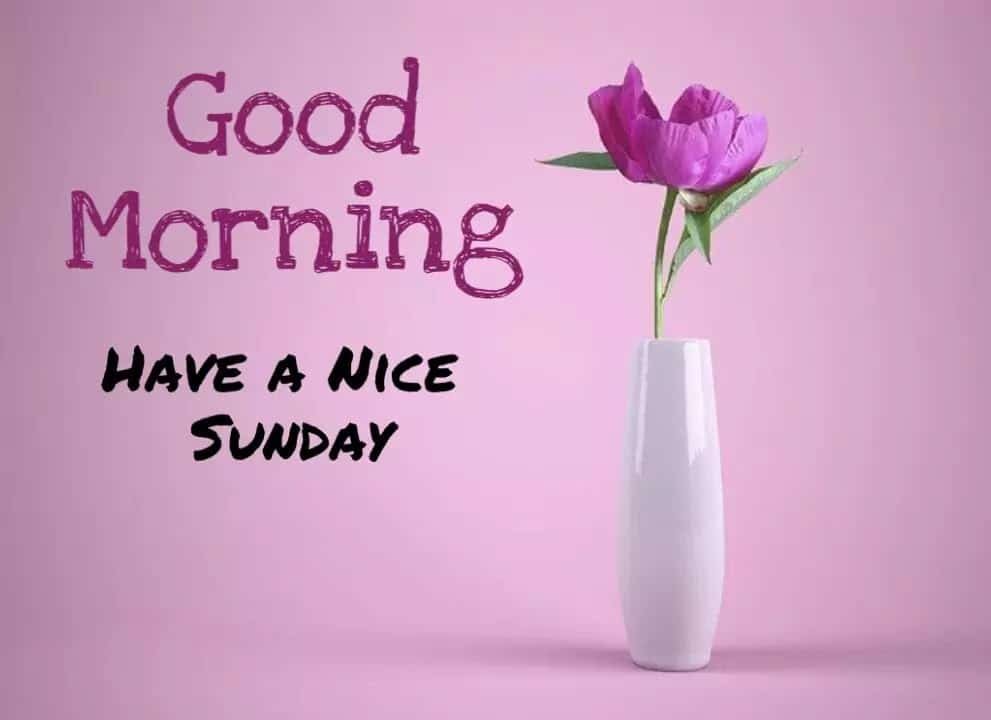 Sunday Blessings Wallpaper