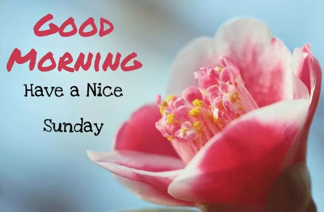 Sunday Blessings Wallpaper