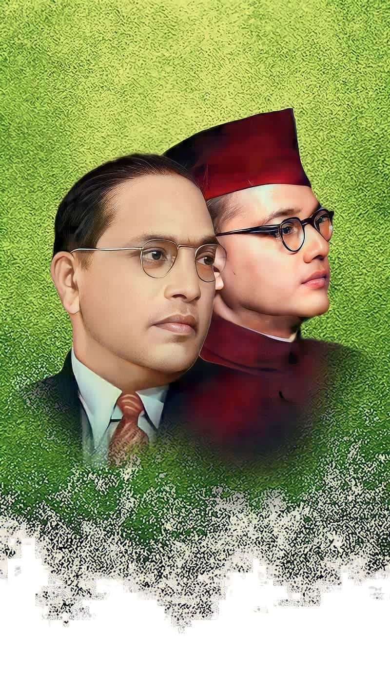 Ambedkar Pic