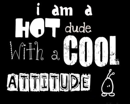 Attitude DP Pic