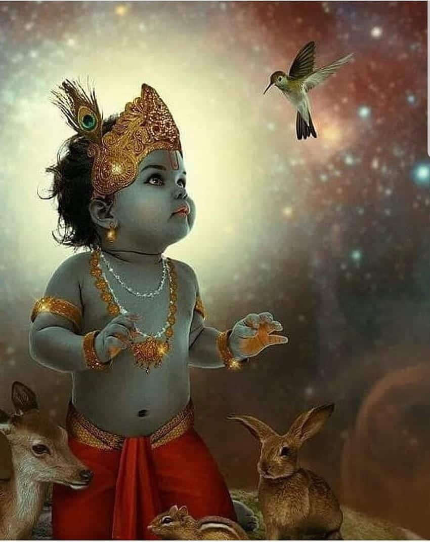 Kanha Images